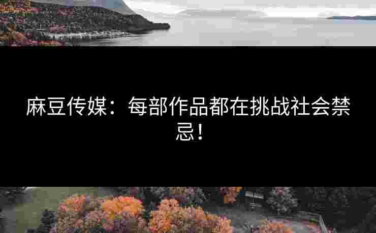 麻豆传媒：每部作品都在挑战社会禁忌！
