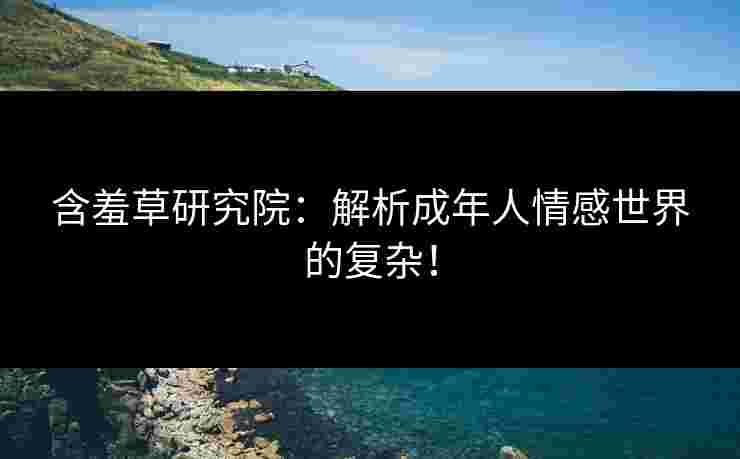 含羞草研究院：解析成年人情感世界的复杂！